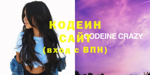 дмт Пересвет