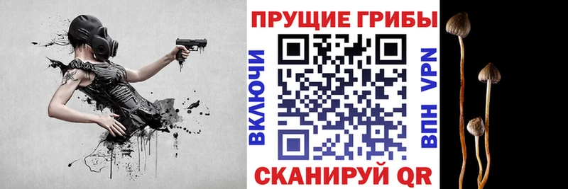 купить  цена  Белореченск  мега зеркало  даркнет состав  Псилоцибиновые грибы прущие грибы 